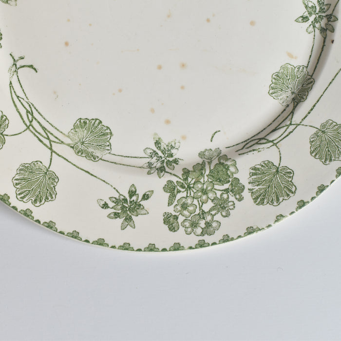 アンティークプレート U&C サルグミンヌ Géranium（ゼラニウム）A