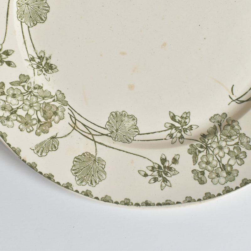 Antique Plate U&C Sarreguemines Géranium (Geranium) B