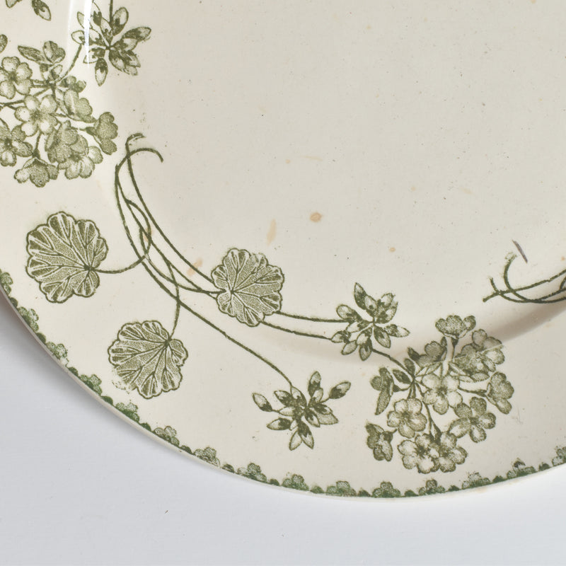 Antique Plate U&C Sarreguemines Géranium (Geranium) B