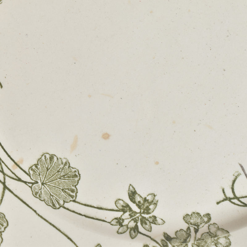 Antique Plate U&C Sarreguemines Géranium (Geranium) B