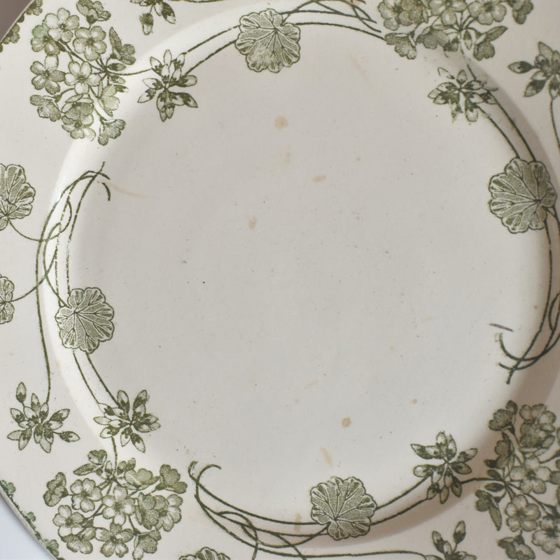 Antique Plate U&C Sarreguemines Géranium (Geranium) B