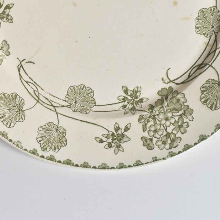 アンティークプレート U&C サルグミンヌ Géranium（ゼラニウム）B