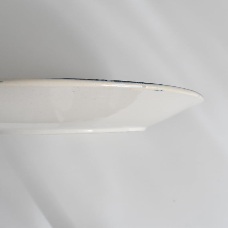 Antique Plate: U&C Sarreguemines Royat C