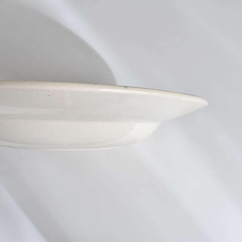 Antique Deep Plate - U&C Sarreguemines Royat (D)