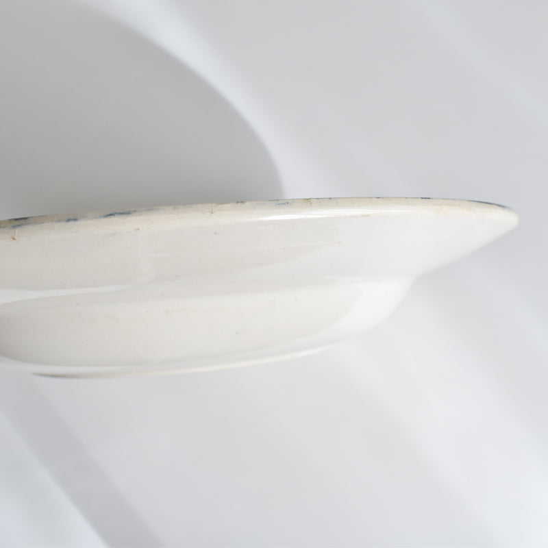 Antique Deep Plate, U&C Sarreguemines Royat E