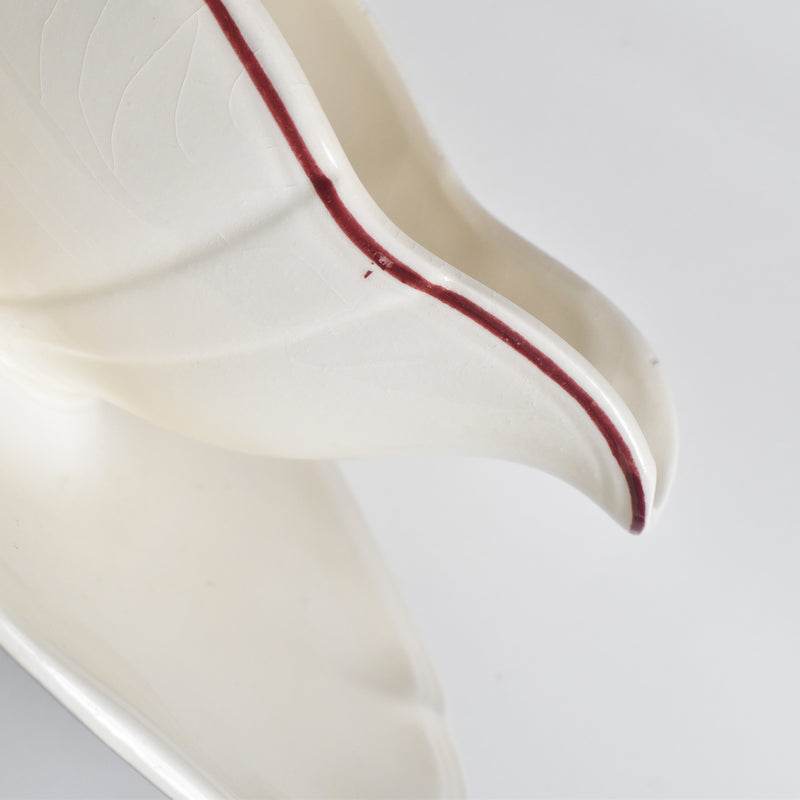 ヴィンテージソーシエール ディゴワン＆サルグミン 花リム レッドライン