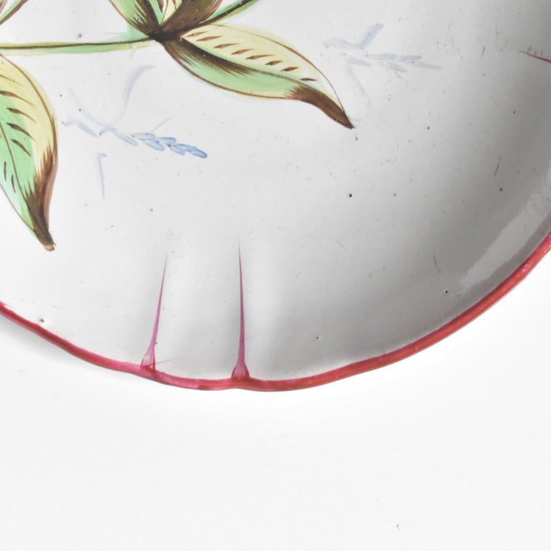 アンティークソーサー サンクレマン エミールガレ Libellule(リベルル） J