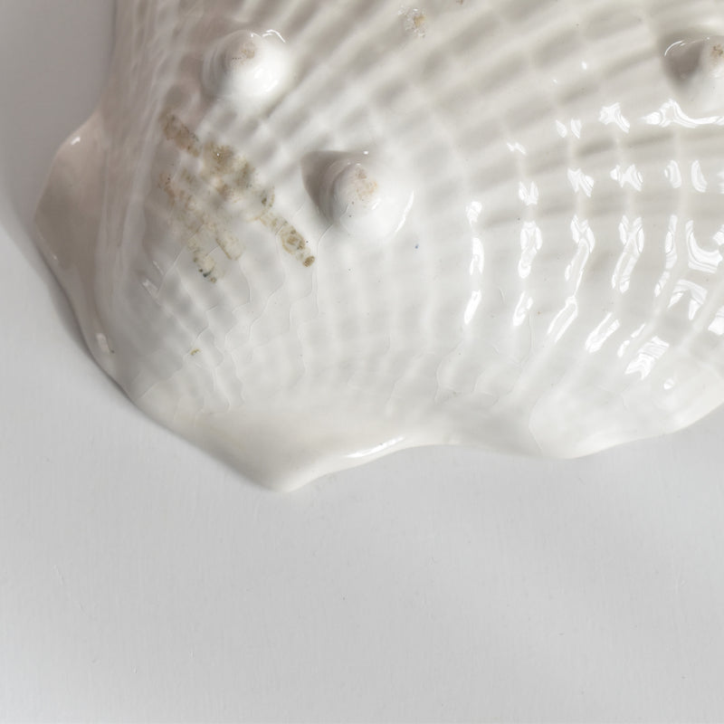 ヴィンテージシェルディッシュ クラウンデヴォン B