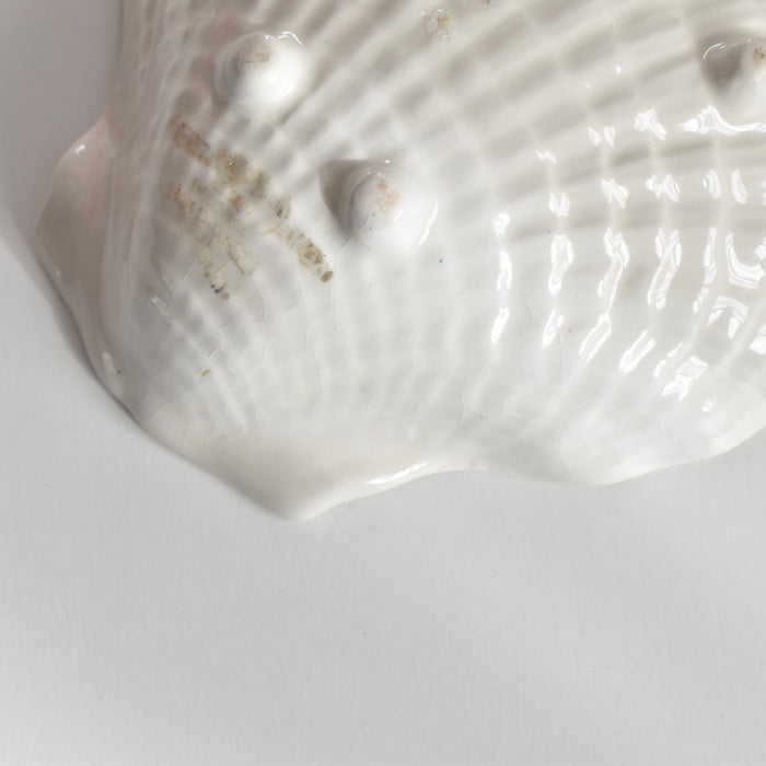 ヴィンテージシェルディッシュ クラウンデヴォン B