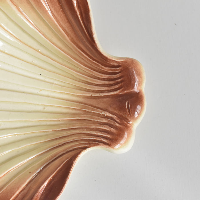 ヴィンテージ シェルディッシュ ディゴワン A