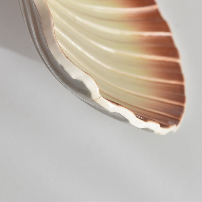 ヴィンテージ シェルディッシュ ディゴワン A