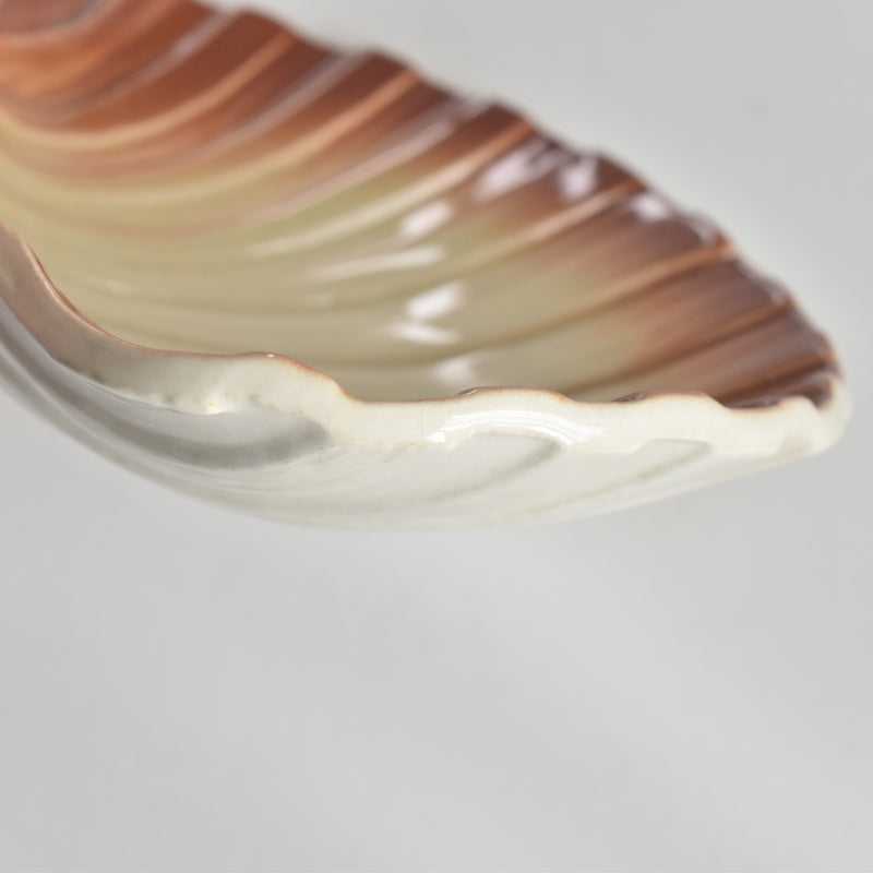 ヴィンテージ シェルディッシュ ディゴワン B