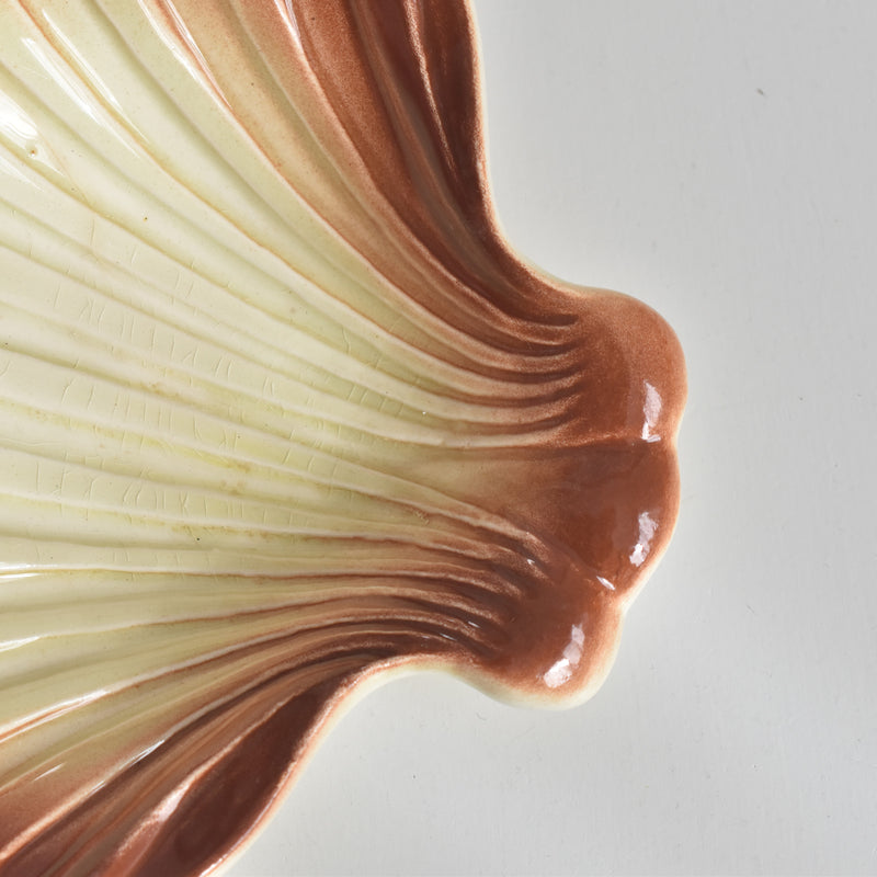 ヴィンテージ シェルディッシュ ディゴワン C