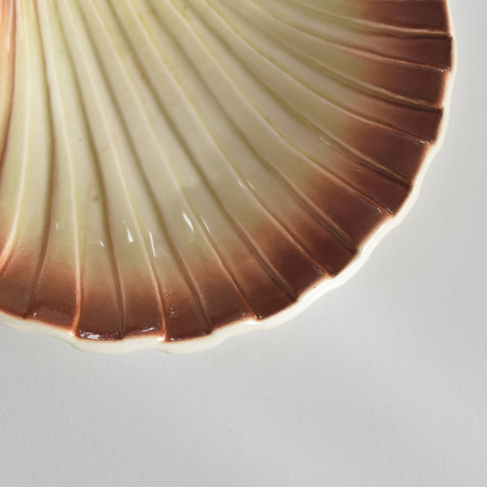 ヴィンテージ シェルディッシュ ディゴワン C