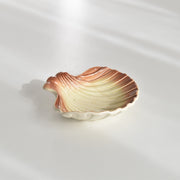 ヴィンテージ シェルディッシュ ディゴワン D