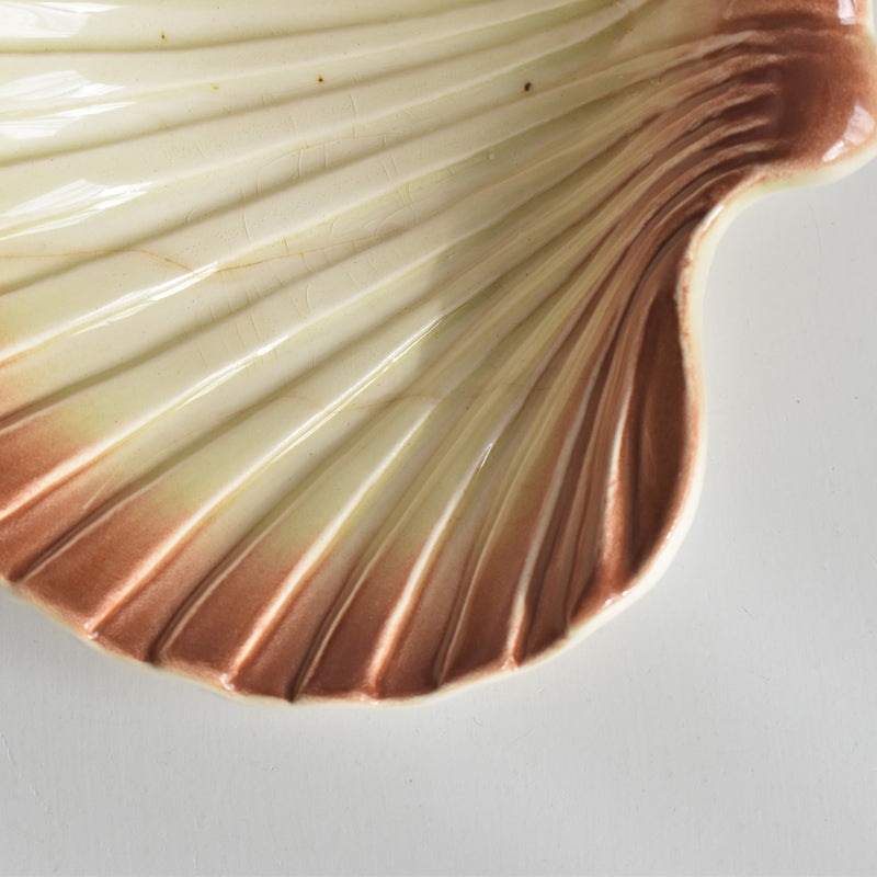 ヴィンテージ シェルディッシュ ディゴワン D