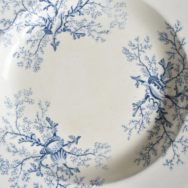 Antique Deep Plate - Terre de Fer Coquillages