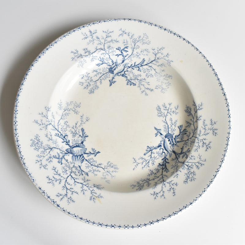 Antique Deep Plate - Terre de Fer Coquillages
