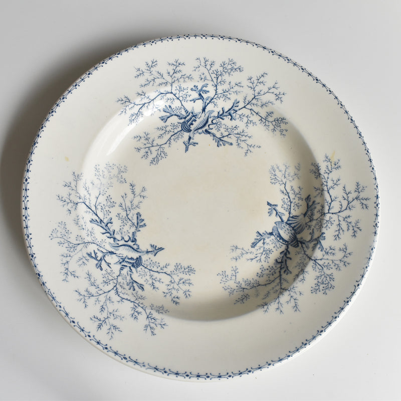 Antique Deep Plate - Terre de Fer Coquillages