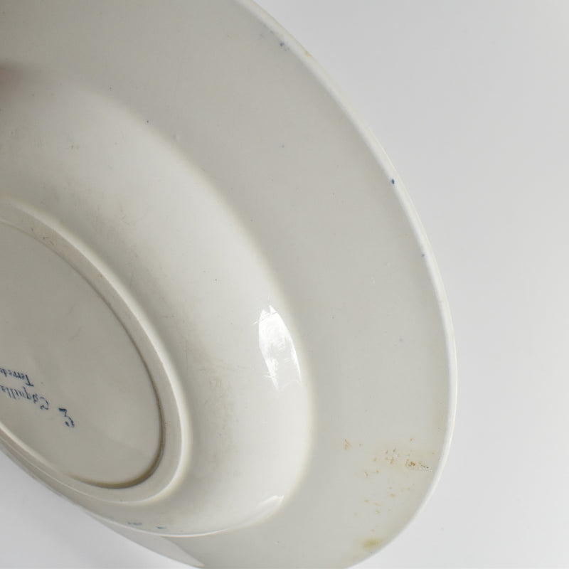 Antique Deep Plate - Terre de Fer Coquillages