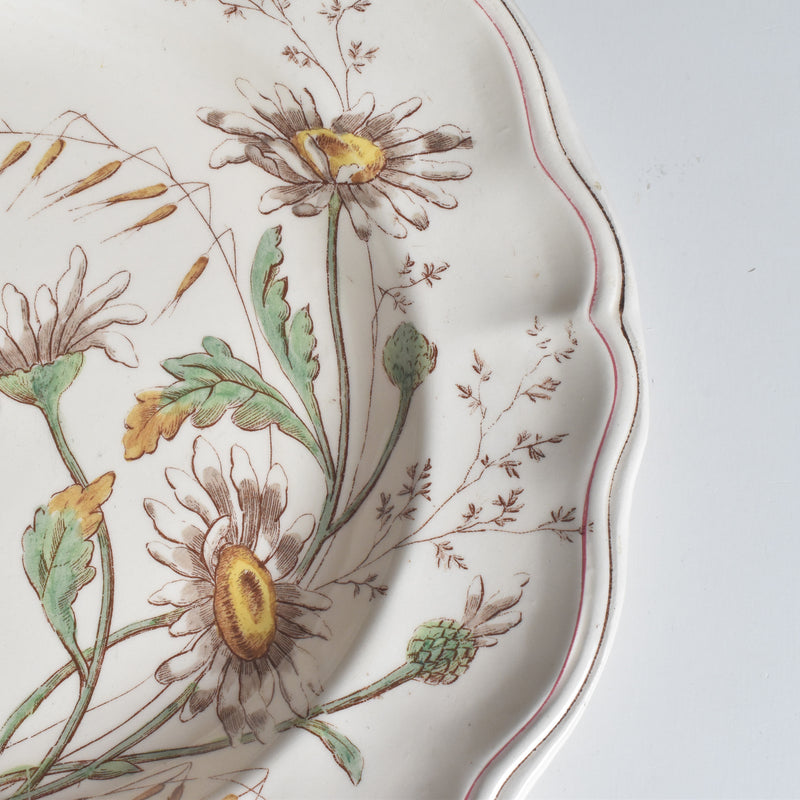アンティーク深皿 ロンシャン Marguerites (マーガレット) ヒナギク A