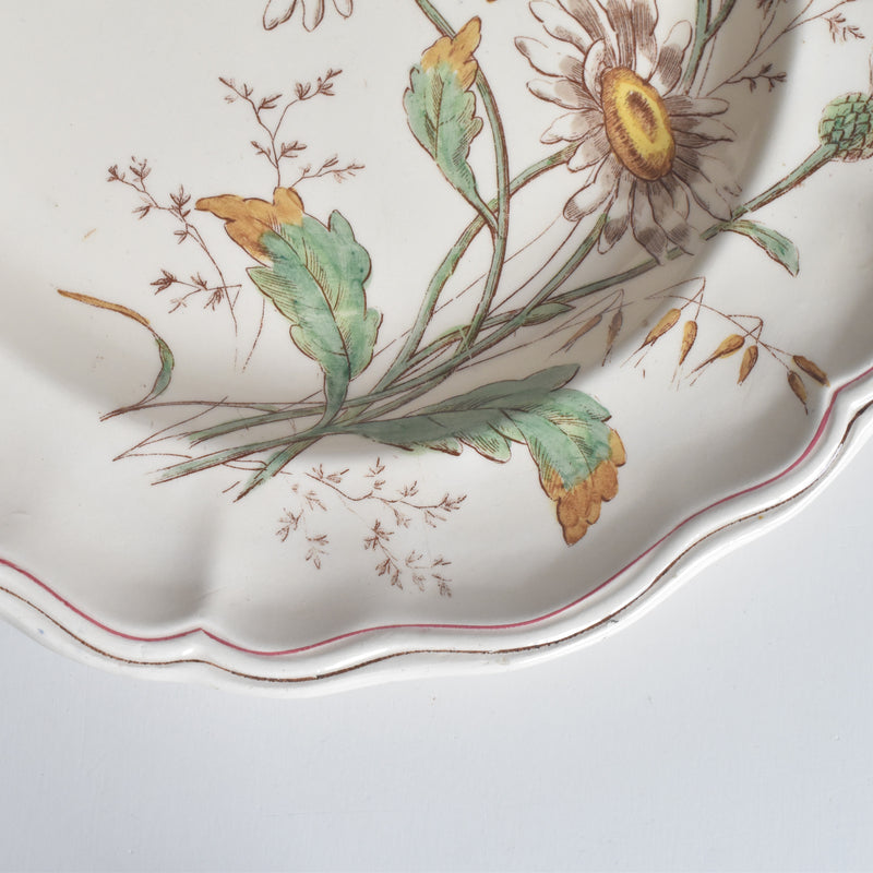 アンティーク深皿 ロンシャン Marguerites (マーガレット) ヒナギク A