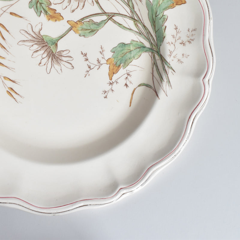 アンティーク深皿 ロンシャン Marguerites (マーガレット) ヒナギク A
