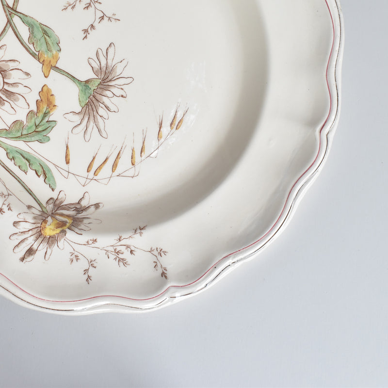 アンティーク深皿 ロンシャン Marguerites (マーガレット) ヒナギク A