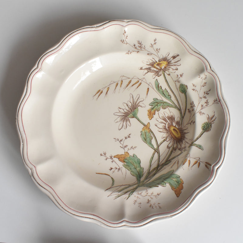 アンティーク深皿 ロンシャン Marguerites (マーガレット) ヒナギク A