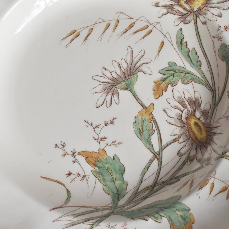 アンティーク深皿 ロンシャン Marguerites (マーガレット) ヒナギク A