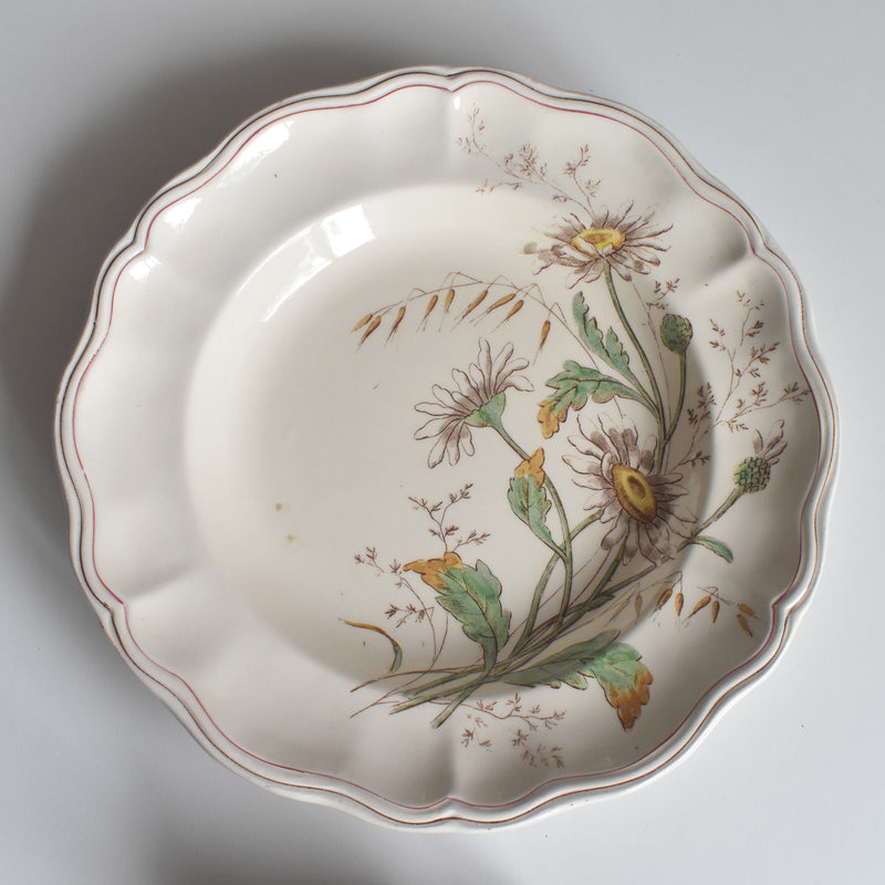アンティーク深皿 ロンシャン Marguerites (マーガレット) ヒナギク B