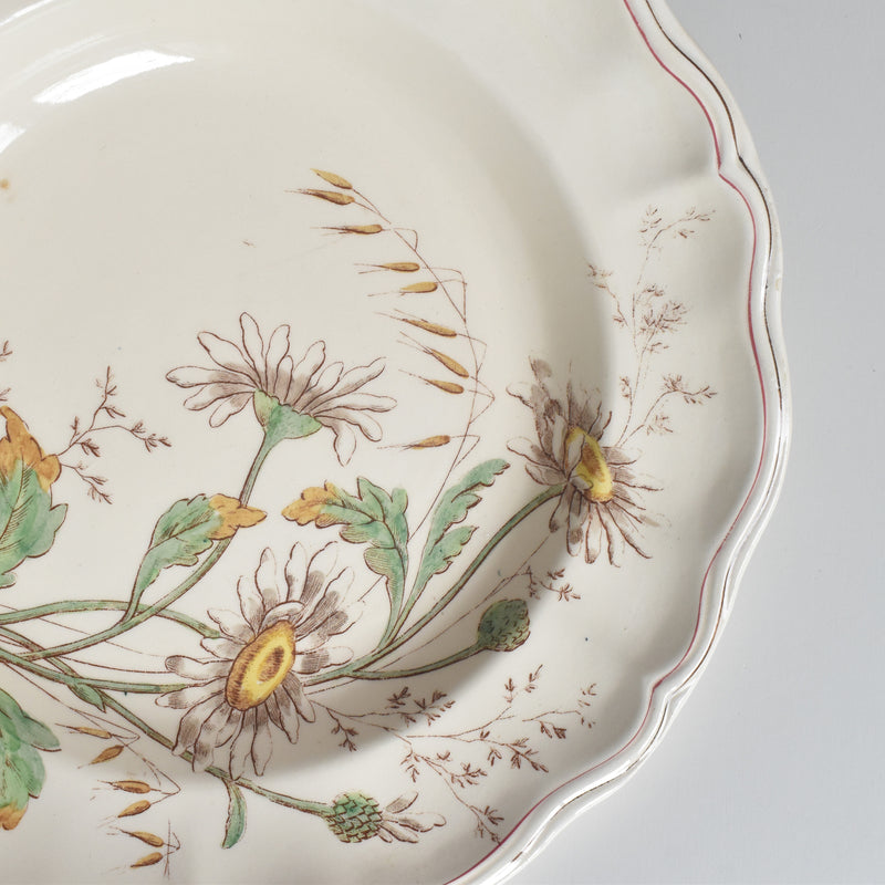 アンティーク深皿 ロンシャン Marguerites (マーガレット) ヒナギク B