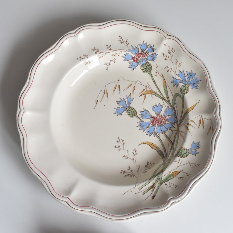 アンティーク深皿 ロンシャン Marguerites (マーガレット) 矢車菊 B