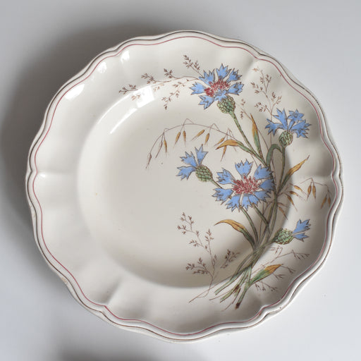 アンティーク深皿 ロンシャン Marguerites (マーガレット) 矢車菊 B
