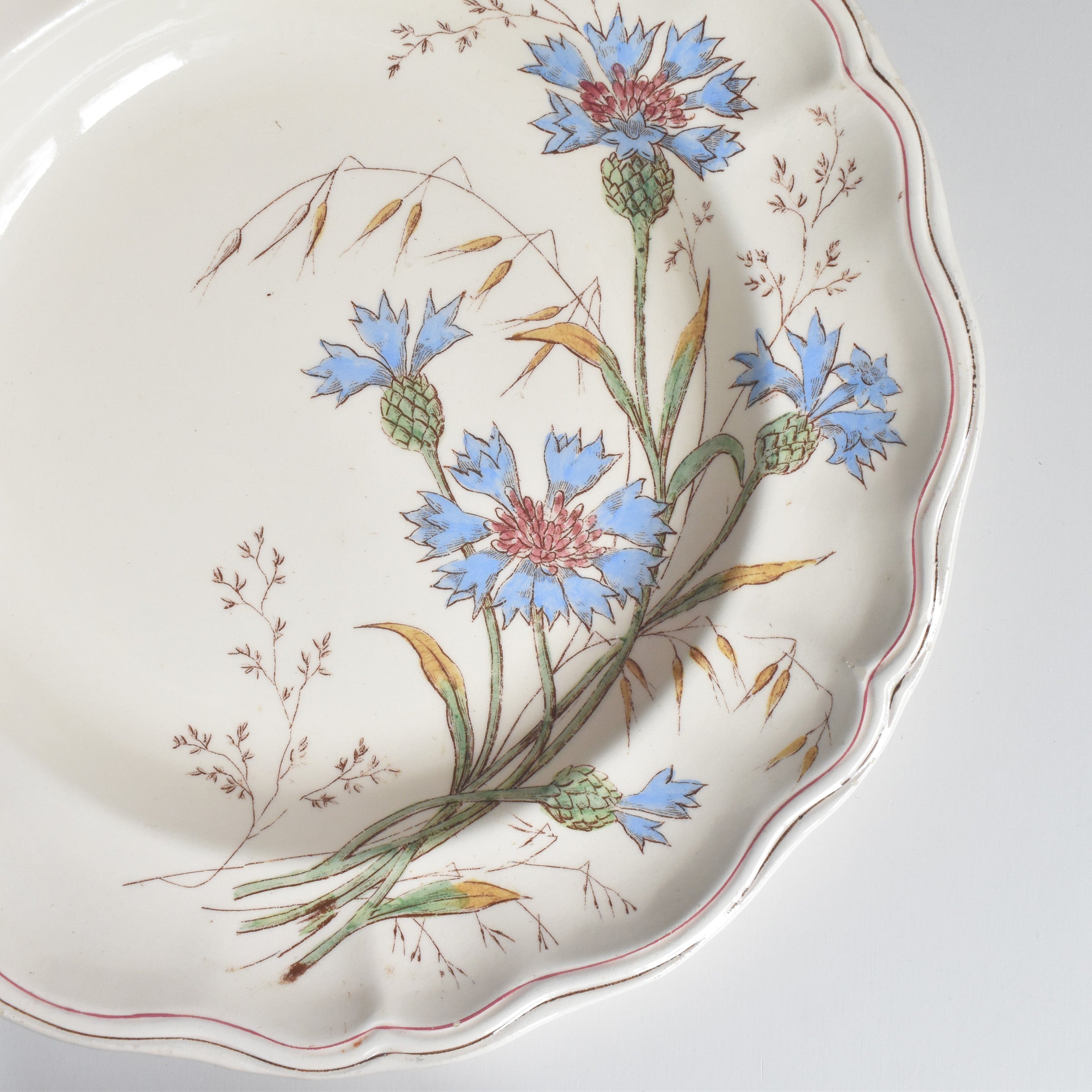 アンティーク深皿 ロンシャン Marguerites (マーガレット) 矢車菊 B