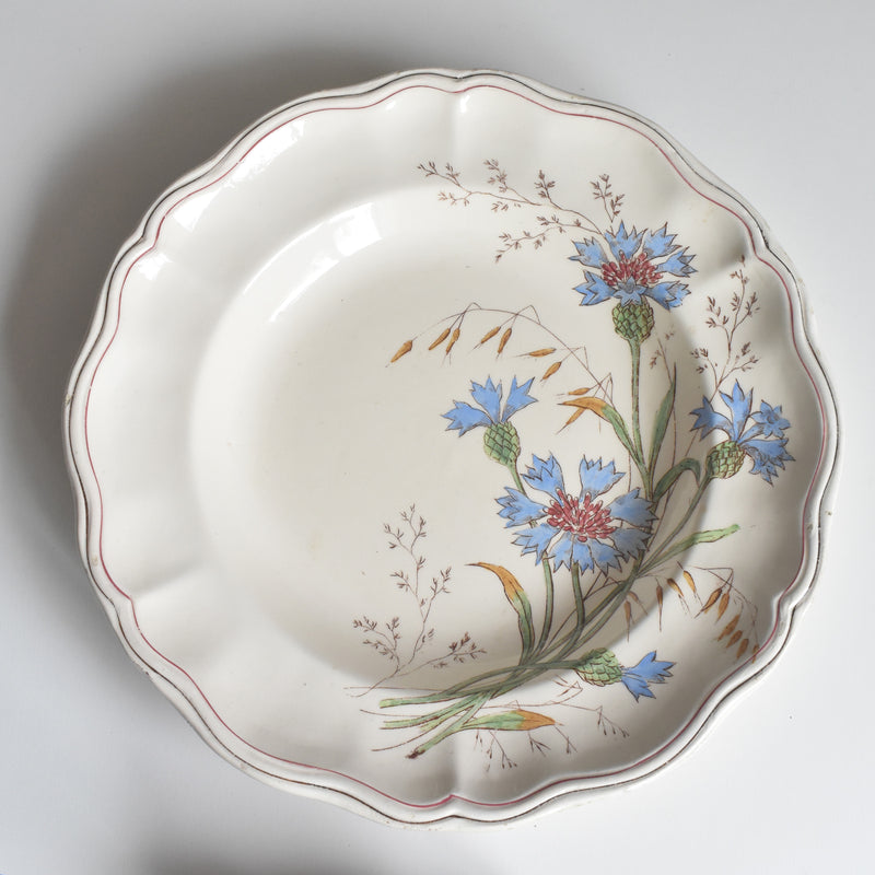 アンティーク深皿 ロンシャン Marguerites (マーガレット) 矢車菊 C