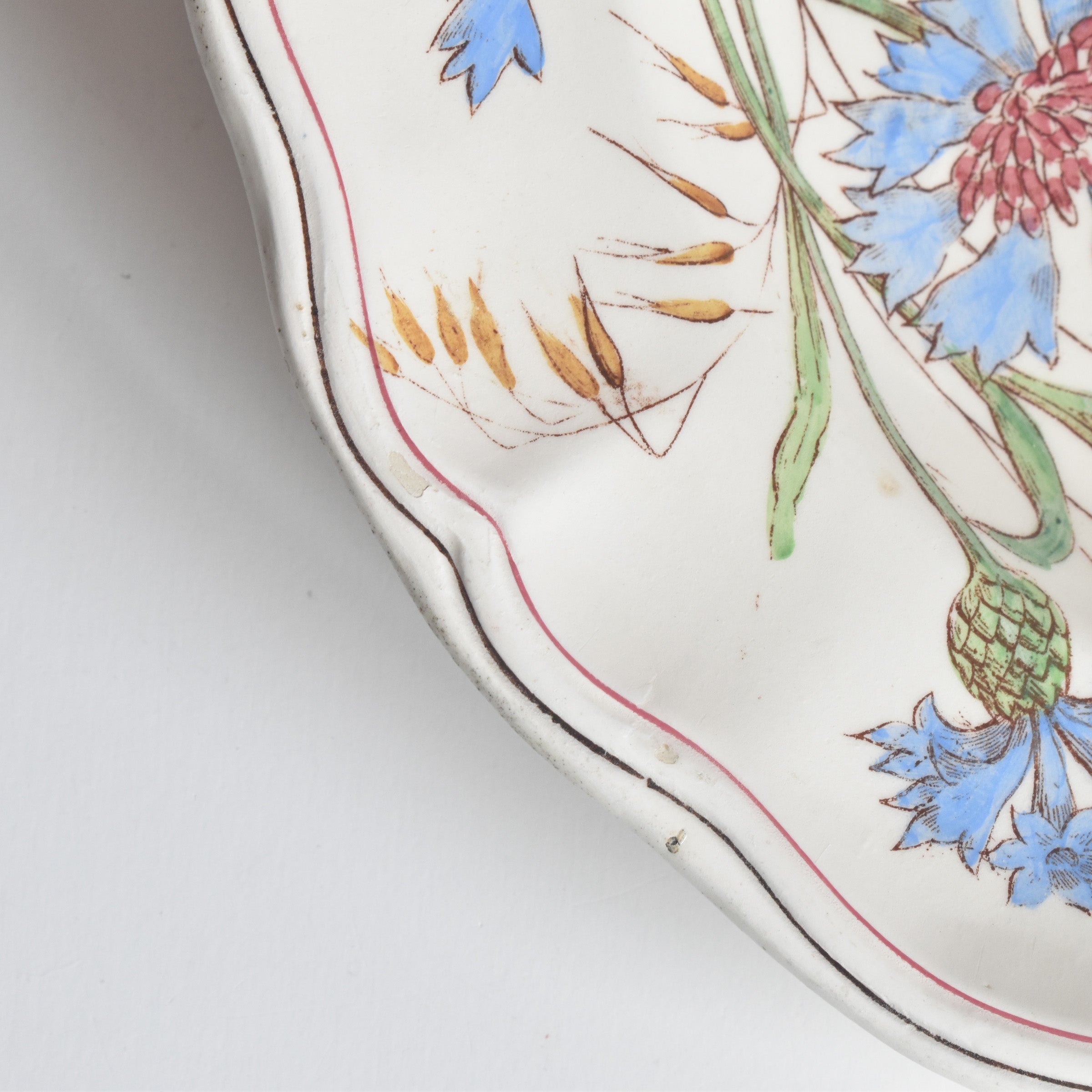 アンティーク深皿 ロンシャン Marguerites (マーガレット) 矢車菊 C