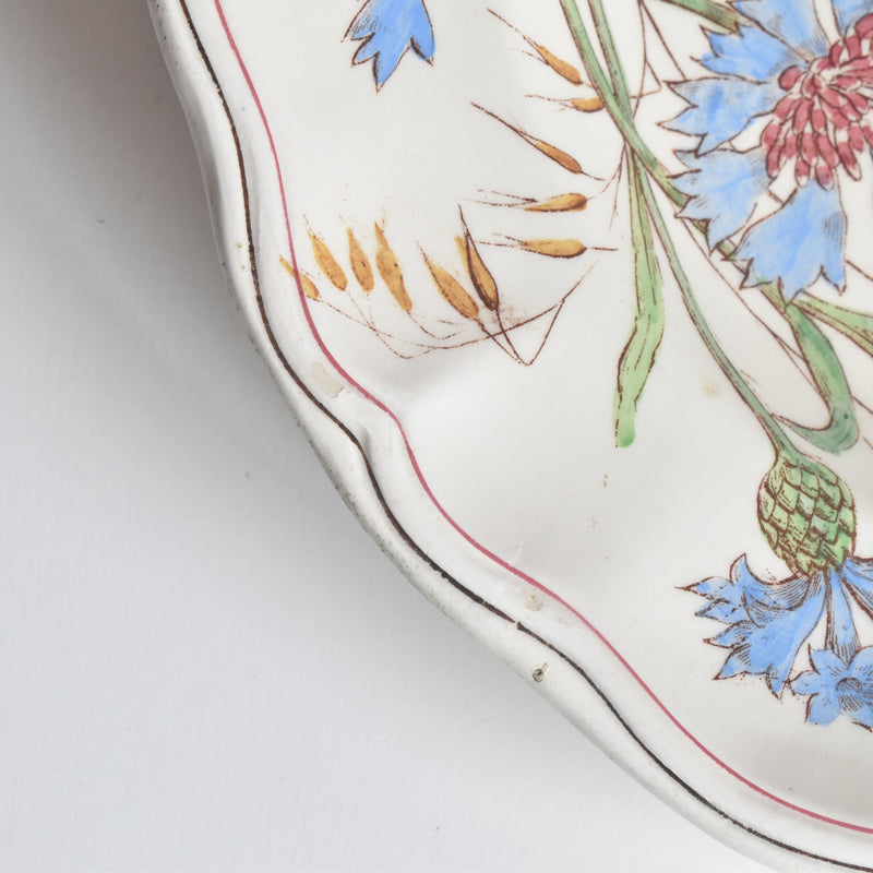 アンティーク深皿 ロンシャン Marguerites (マーガレット) 矢車菊 C