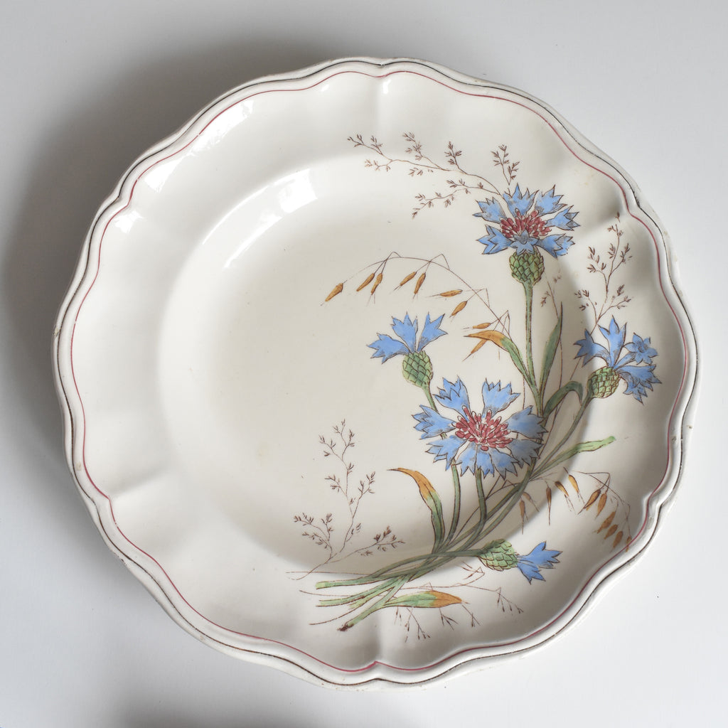 アンティーク深皿 ロンシャン Marguerites (マーガレット) 矢車菊 C