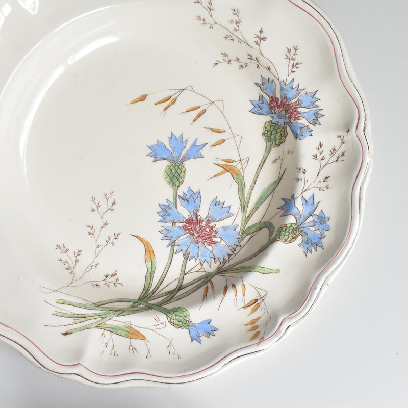 アンティーク深皿 ロンシャン Marguerites (マーガレット) 矢車菊 C