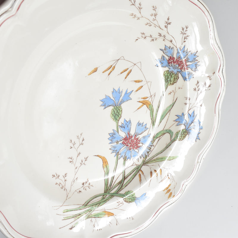 アンティーク深皿 ロンシャン Marguerites (マーガレット) 矢車菊 C