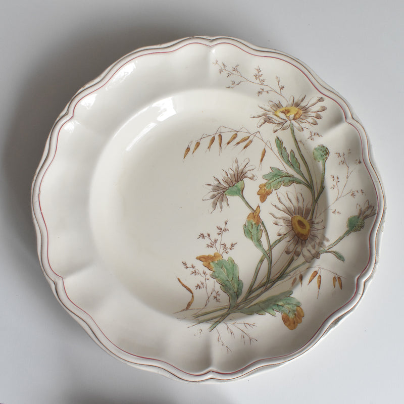 アンティーク深皿 ロンシャン Marguerites (マーガレット) ヒナギク C