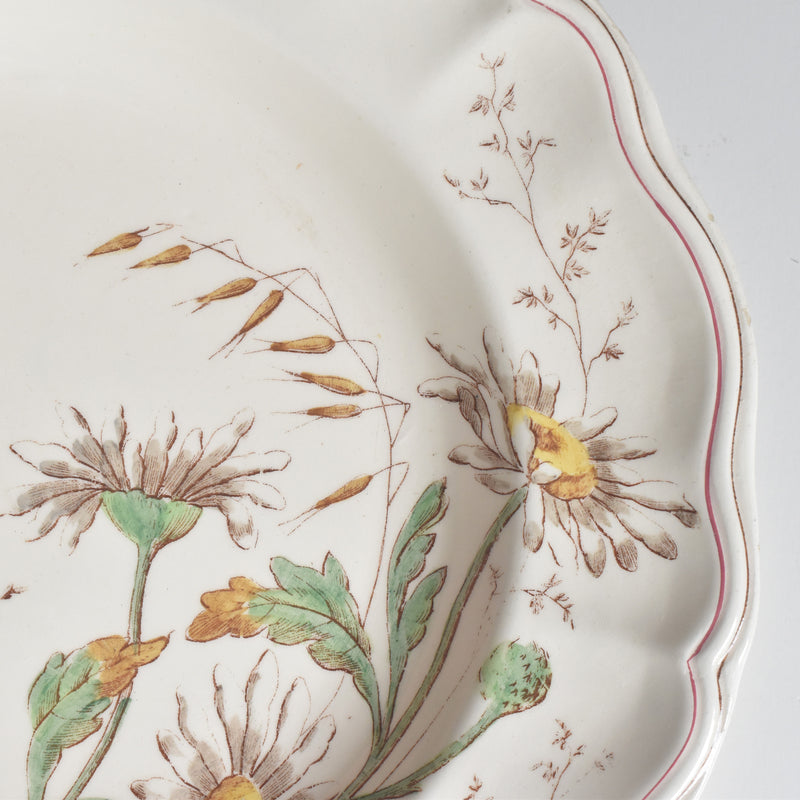 アンティーク深皿 ロンシャン Marguerites (マーガレット) ヒナギク C