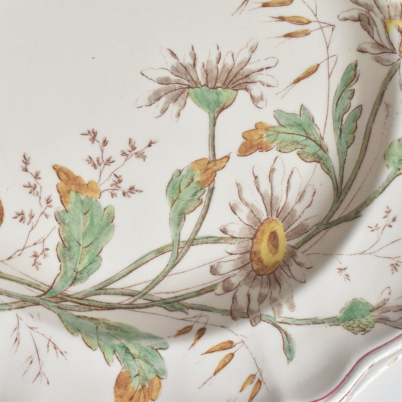 アンティーク深皿 ロンシャン Marguerites (マーガレット) ヒナギク C