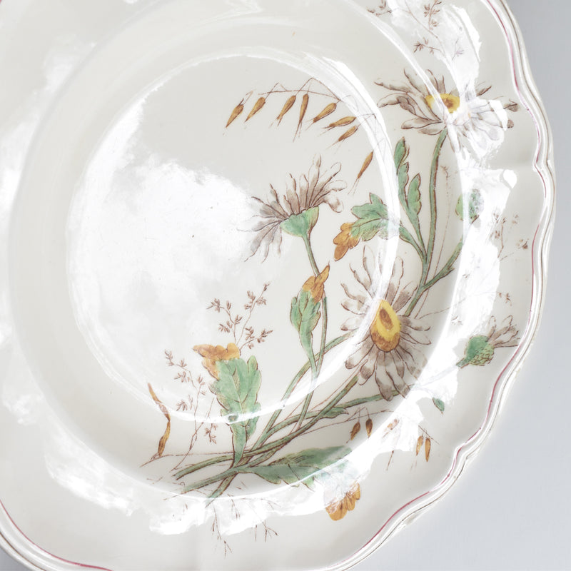 アンティーク深皿 ロンシャン Marguerites (マーガレット) ヒナギク C