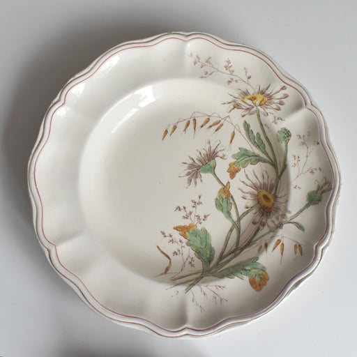 アンティーク深皿 ロンシャン Marguerites (マーガレット) ヒナギク C
