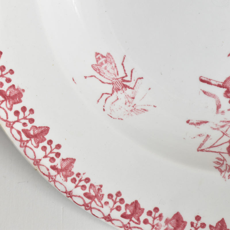 アンティーク深皿 オナン Moisson（モアソン） A