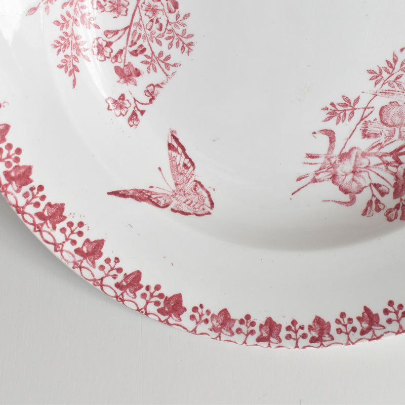 アンティーク深皿 オナン Moisson（モアソン） A