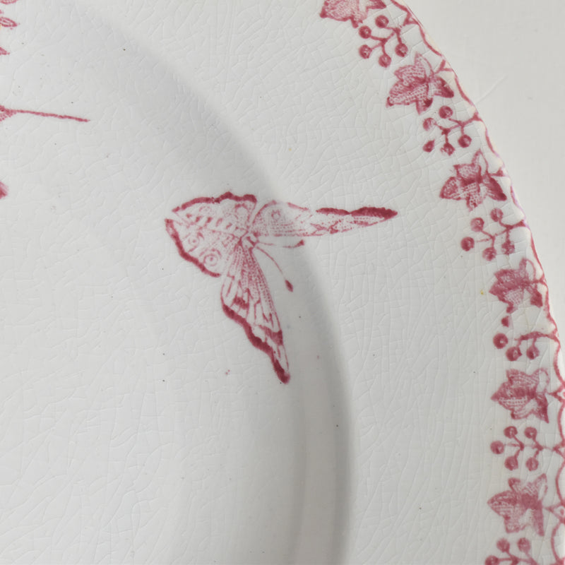 アンティーク深皿 オナン Moisson（モアソン） B