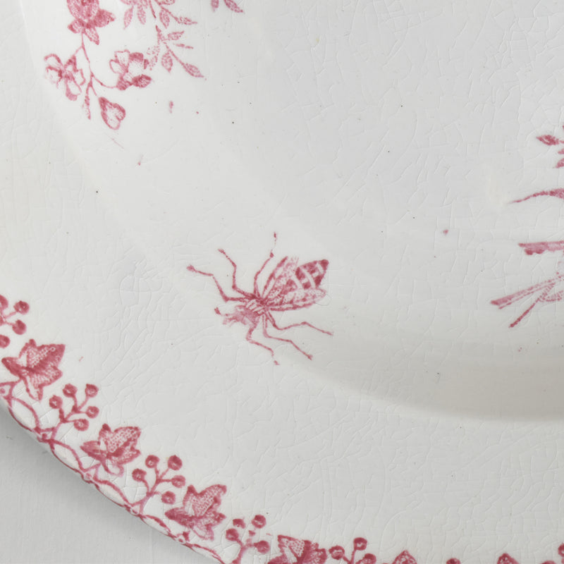 アンティーク深皿 オナン Moisson（モアソン） B